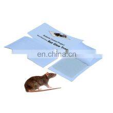 Paper Base Rat Mouse Snake Glue Boards Trampas Adhesivas Para Ratones Trampa de Pegamento Para Raton thumbnail-3