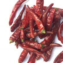 Wholesale Bulk Items Dry Red Chilli Sichuan Pepper Whole or Cut Offr or Chili Powder thumbnail-2