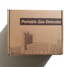 BX171 Portable Single Gas Detector Wirh Alarm thumbnail-4