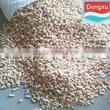 Bulk Peanut in Shell