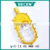 China Factory Aluninum Alloy Longevity 70w Explosion- Proof Light, MH Explosion Proof Street Lamp