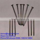 HOT SALE Common Nails/common Iron Nail/common Wire Nail CN-004D