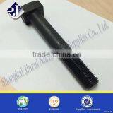 Stainless Steel Square Head Bolt Black