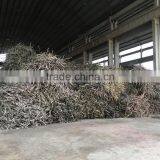 100% Refinded Carbonated White Crystal Rock Sugar 50kg thumbnail-4