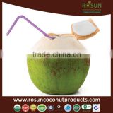 Sugar Free Coconut Water Powder Juice 10g - Rosun Natural Products Pvt Ltd INDIA