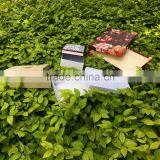 Wholesale Custom Gift Box Packaging With Eco-feature