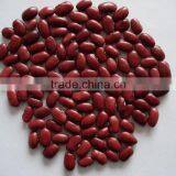 Red Kidney Beans thumbnail-1