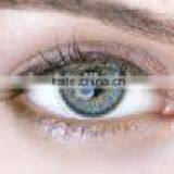 Wholesale 14.2mm Korea Blue Green Gray Different Color Cosmo Contact Lens thumbnail-2