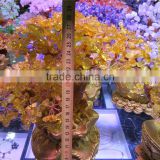 colorful wedding crystal tree for wholesale