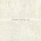 Unglazed Tile With Polished Surface (V6101P)