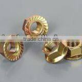 Hex Flange Nut