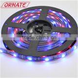 Led Flexible Magic Digital Led Strip Rgb 5050