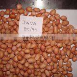 PEANUTS KERNEL JAVA thumbnail-3