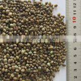 Private Label Organic Hulled Hemp Seed,Hemp Seeds,Shelled Hemp Seeds thumbnail-2