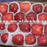 red delicious apple/huaniu apple