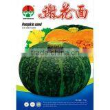 Chinese Hybrid Dark Green Peel Golden Flesh Pumpkin Seeds For Growing-Golden Flour thumbnail-1