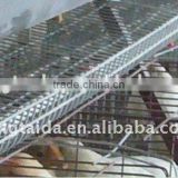High quality design layer chicken cages for Kenya poultry farm ( full poultry equipment)