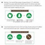 Health Facial Paper thumbnail-4