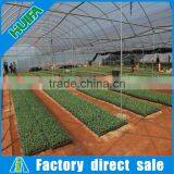 Large Multi-span Agricultural Greenhouse for Sale thumbnail-5