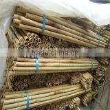 Garden Green Bamboo Poles Cheap thumbnail-4