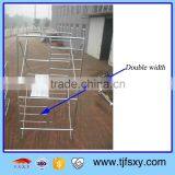Multi-Use Reusable Double Width Steel Ladder Scaffolding thumbnail-1