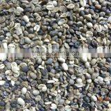 2015 Latest Coffee Bean Ccd Color Sorter thumbnail-2