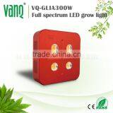Newest Led Grow Light China Factory VANQLED 300w Cob Grow Full Spectrum thumbnail-2