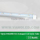 VANQLED G13 Led Grow Lamp Tube for Plant Factory With CE,RoHS Approved,one-end Plug Connecting thumbnail-4