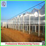 Easily Installed and Waterproof 8mm Thickness Polycarbonate Greenhouse for Sale thumbnail-5