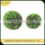 Preservative Boxwood Ball and Preseved Ball Topairy for America Markets thumbnail-1