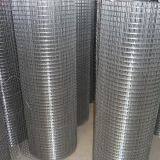 Hot Dipped Galvanized Welded Mesh