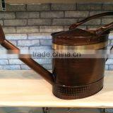 10L Large Capacity Garden Galvanized Steel Watering Can thumbnail-3