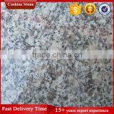 Polished & Flamed 24x24 G602 Cheap Granite Tile On Sale thumbnail-1