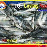 IQF LAYANG SCAD WHOLE ROUND thumbnail-3