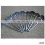 Galvanized Roofing Nails With Umbreall Head thumbnail-1