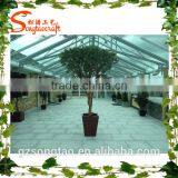 Songtao Supplier Artificial Ficus Tree Home Decoration Artificial Ficus Tree thumbnail-2