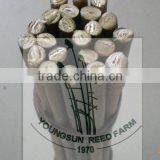 Good Quality Willow Sticks thumbnail-2