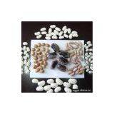 Sell White Kidney Beans thumbnail-1