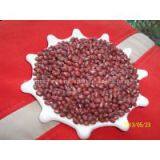 SMALL RED BEANS thumbnail-1