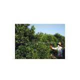 Plant Nutritional Sustained-release Membra thumbnail-1