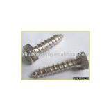 Stainless Steel Wood Screws DIN7976 thumbnail-1