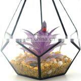 Geometric Glass Terrarium Wholesale Terrarium Glass thumbnail-3