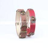 Newly Invented Product PU Dog Collar Pet Supplies thumbnail-4