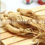 High Quality White Panax Ginseng From Changbai Mountain
