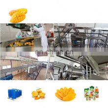 Automatic Dry/dried/drying Fruit Plant Machine Processing Line Manufacturer thumbnail-2