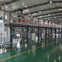 Echinacea Purpurea thumbnail-5