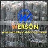 Hot Dipped Galvanized Hinge Joint Fencing Wire| Werson Fence thumbnail-6