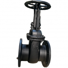 DN100 Cast Iron Gate Valve PN16 PN25 GOST Standard Flange End Gate Valve Factory thumbnail-4