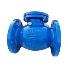 DIN Ductile Iron GGG40 Swing Check Valve Pn16 CI Soft Seat Check Valve Lift Check Valve thumbnail-1