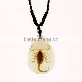 2016 Hot-selling Novel Gifts Resin Necklace With Real Insect thumbnail-3